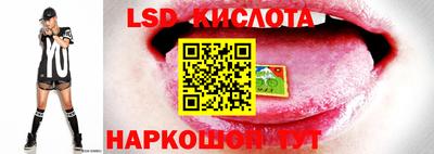 ALPHA-PVP Новокубанск