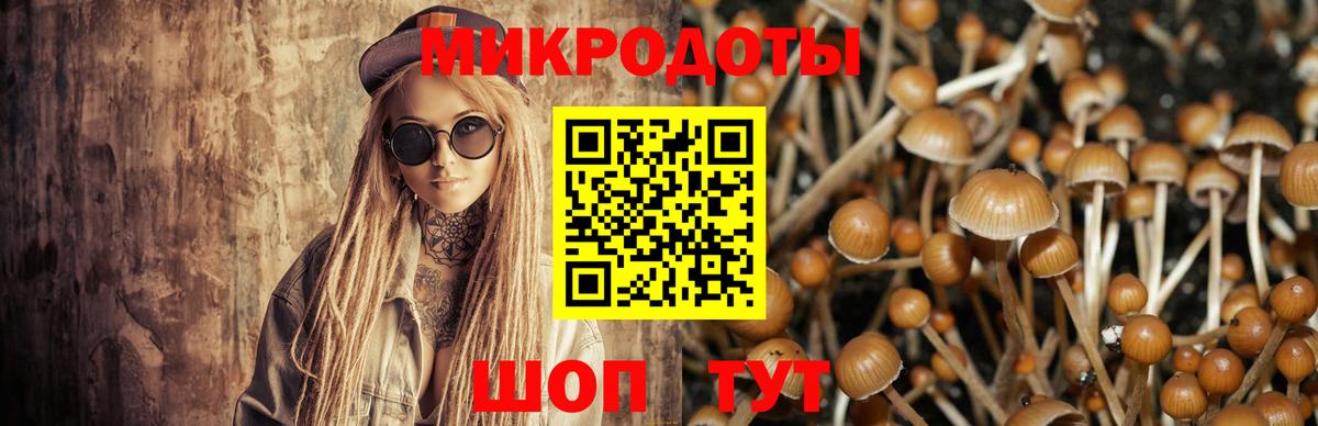 Галлюциногенные грибы Magic Shrooms Унеча